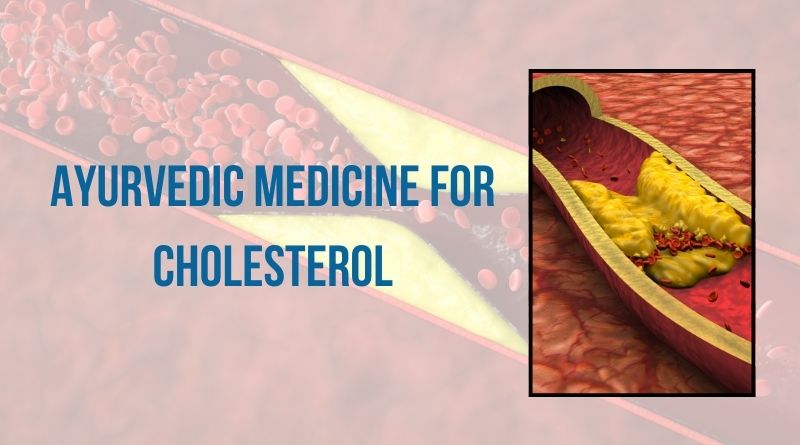 Ayurvedic Medicine for Cholesterol