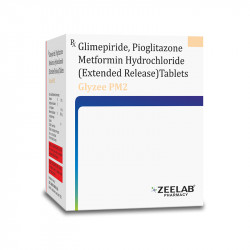 Glyzee-PM 2 Tablet