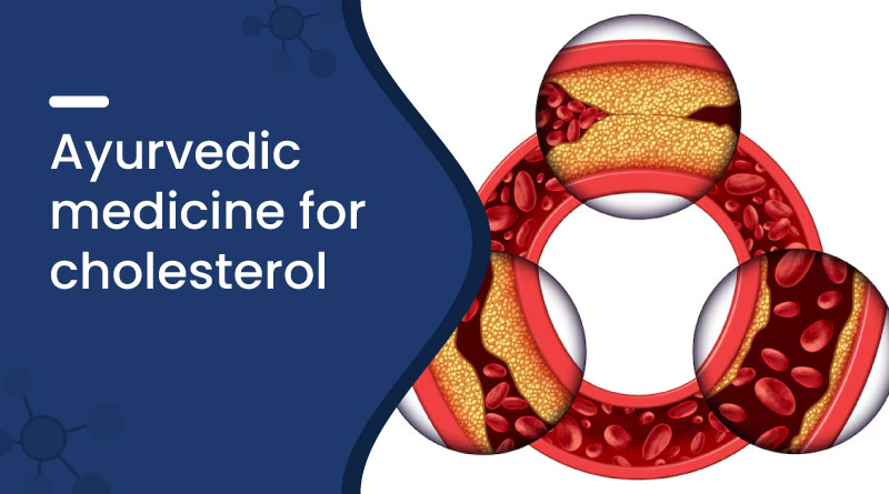 Ayurvedic Medicine for Cholesterol