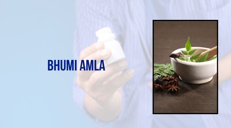 Bhumi Amla