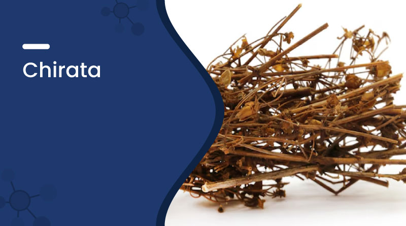 Chirata Herb Benefits
