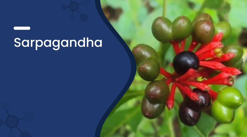 Sarpagandha Benefits