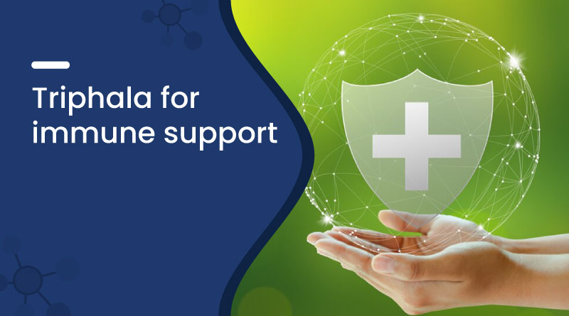 Triphala for Immune Support