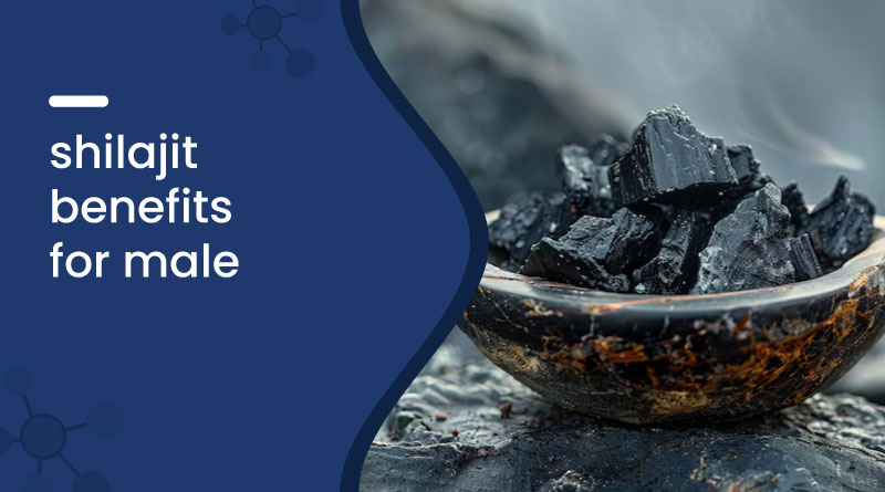Shilajit Benefits for Men