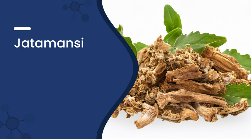Jatamansi