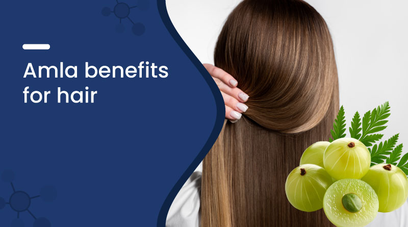 Amla Benefits for Hair