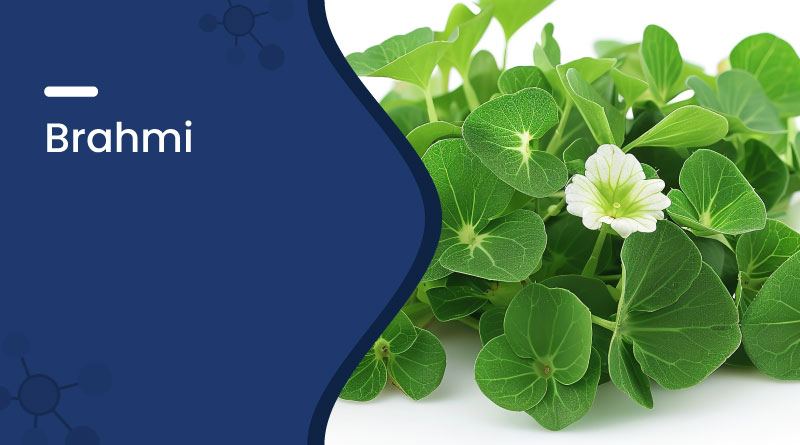 Brahmi