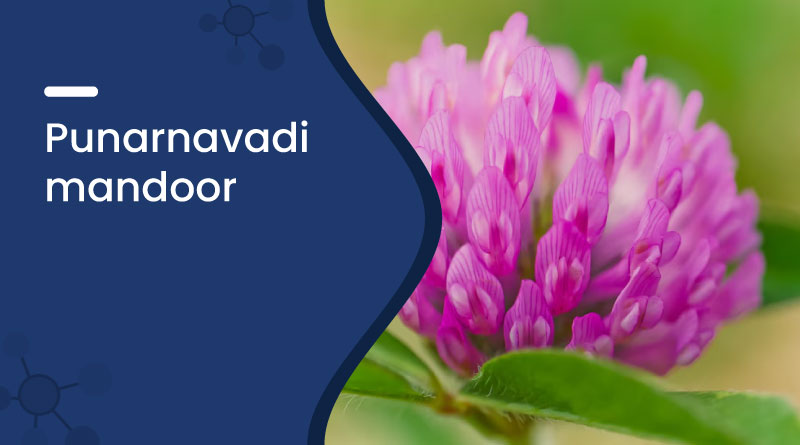 Punarnavadi Mandoor