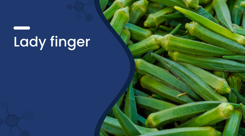 Lady Finger