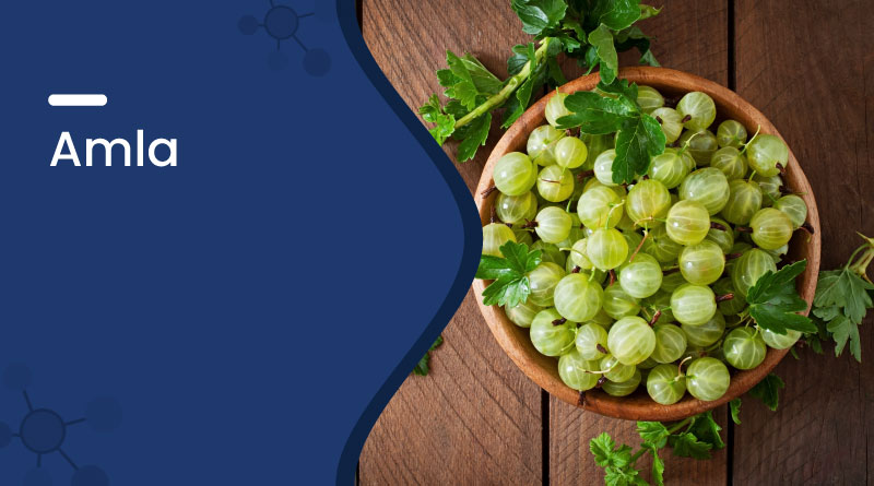 amla (indian gooseberry) – benefits uses dosage & side effects