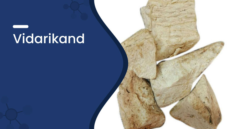 vidarikand – benefits, uses, dosage & side effects in ayurveda