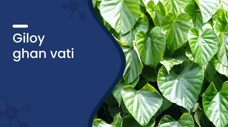 Giloy Ghan Vati – Uses, Benefits, Dosage & Side Effects