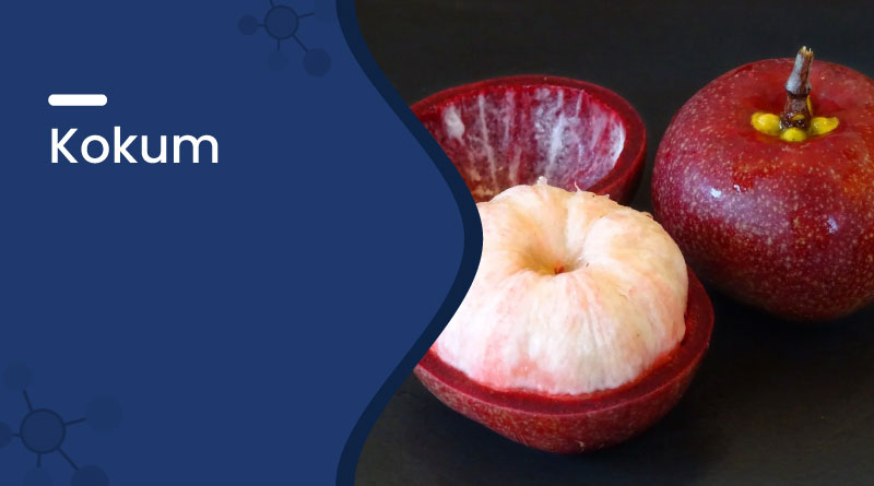 Kokum – Uses, Benefits, Nutrition & Side Effects Explained
