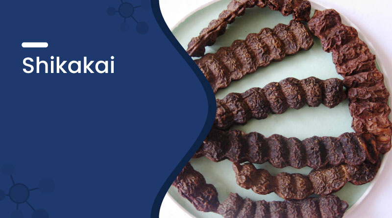 Shikakai – Uses, Benefits, How to Use & Side Effects