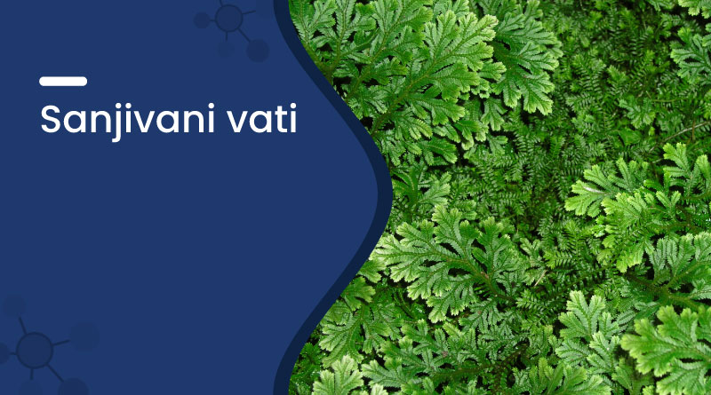 Sanjivani Vati – Uses, Benefits, Dosage & Side Effects