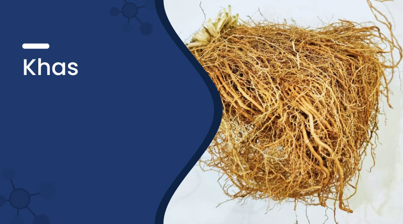 Khas (Vetiver) – Benefits, Uses, Cooling Effects & Ayurvedic Value