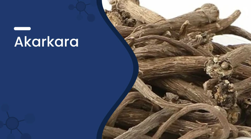 Akarkara – Benefits, Uses, Dosage & Side Effects
