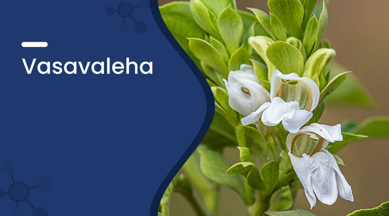 Vasavaleha Benefits & Uses – Ayurvedic Relief for Cough & Asthma