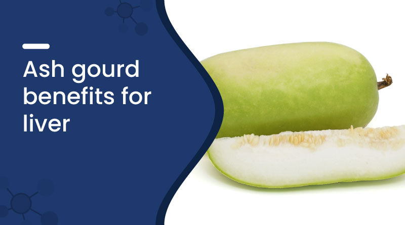 Ash Gourd Benefits for Liver