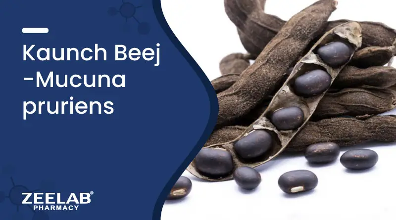 Kaunch Beej