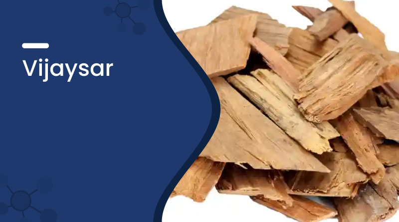 Vijaysar: Ayurvedic Remedy for Diabetes & Joint Health