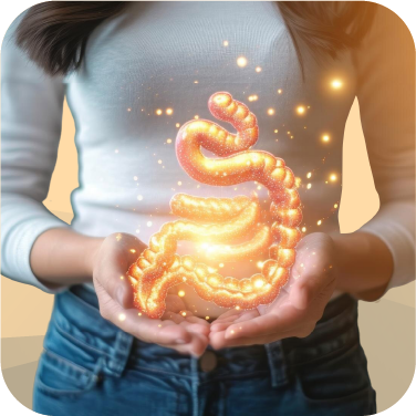 gut & digestive health