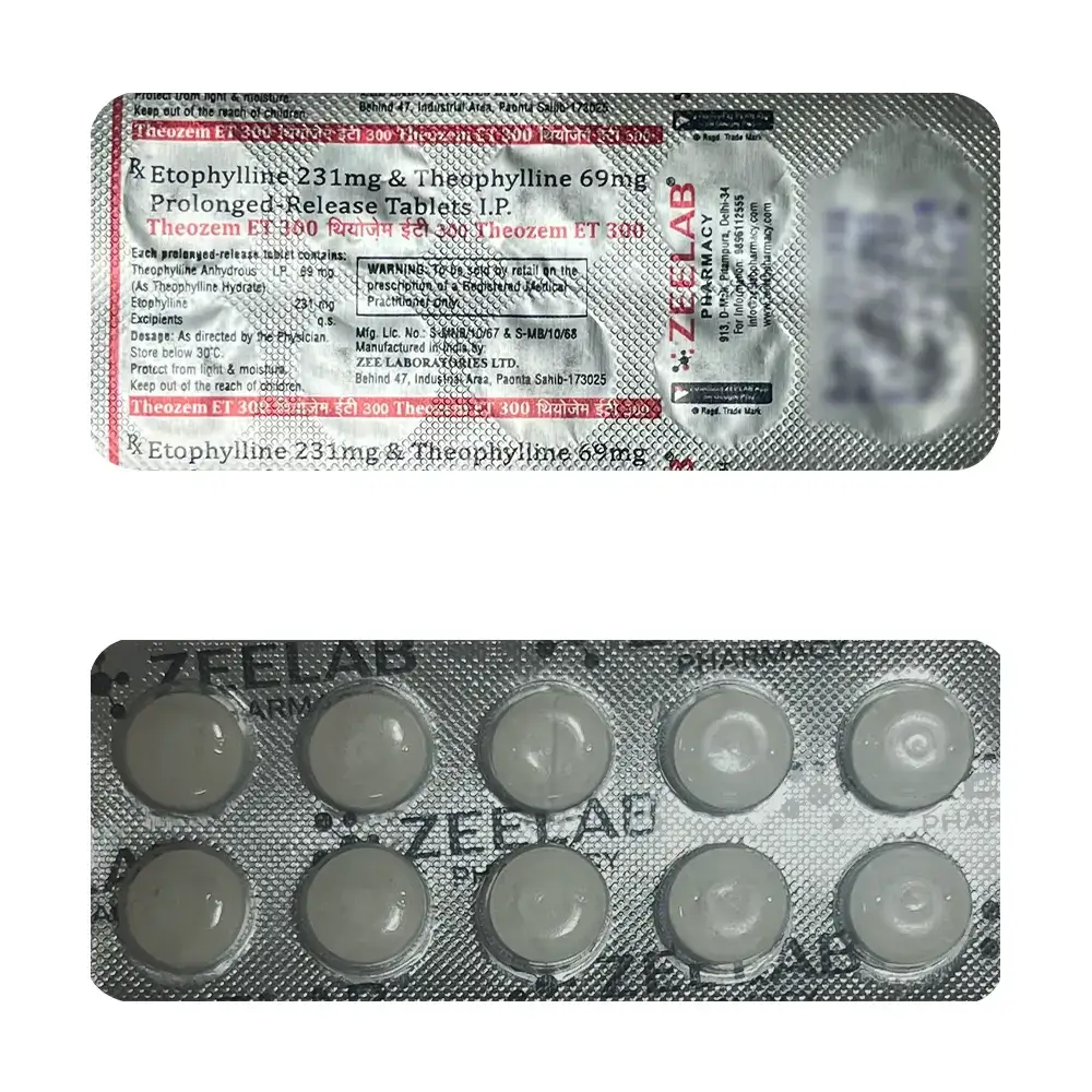 theozem-et-300-tab