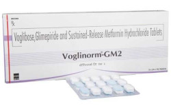 Voglinorm-GM2 Tablet SR