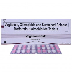 Voglinorm-GM1 Tablet SR