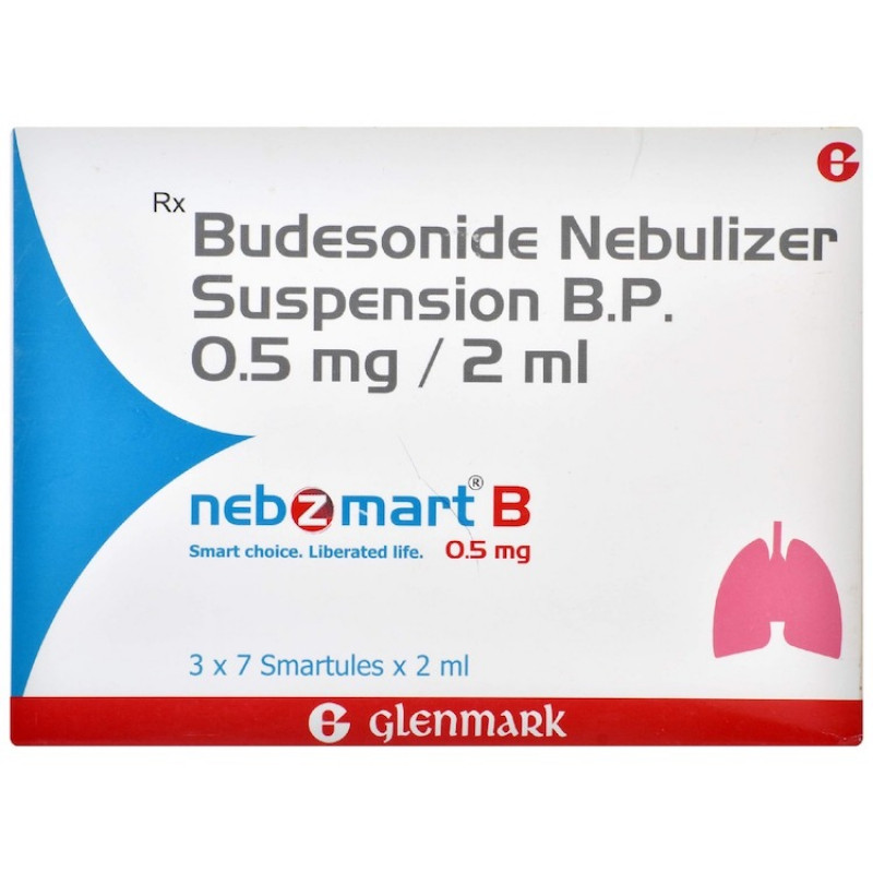 Nebzmart B 0.5mg Smartules (2ml Each) Nebzmart B 0.5mg Smartules (2ml Each)