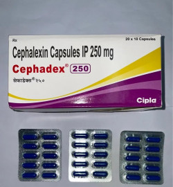 Cephadex 250 Capsule