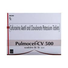 Pulmocef CV 500 Tablet