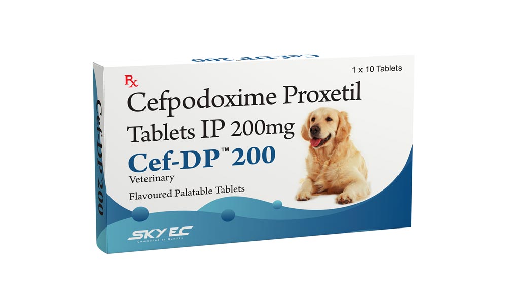 DP Cef 200mg Tablet